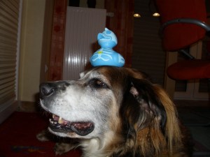 Echte Freunde auf Abenteuersuche 