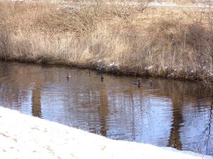 Junggesellen unterwegs