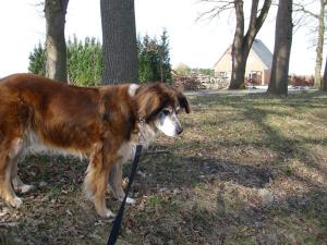 Mona waiting.... los ihr zwei... bald sind wir da... hophop