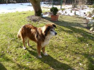 Mein liebstes Fotomotiv... MONAAAA Hübsch sein, das kann ich... siehste, völlig ohne Vorbereitung.