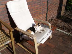 Zörchen und Poäng ein tolles Team