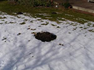 Frauten...ähmm Maulwurfhaufen